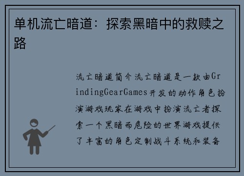 单机流亡暗道：探索黑暗中的救赎之路
